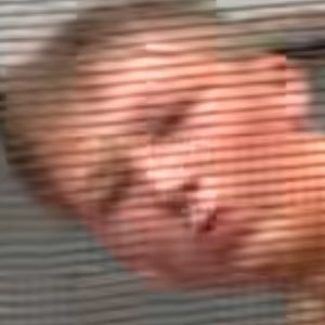 Meet your Posher, Kale